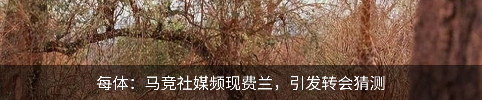 热点资讯