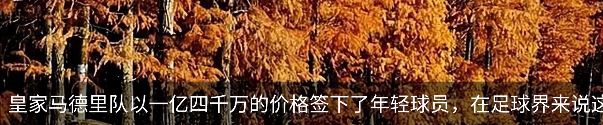 热点资讯