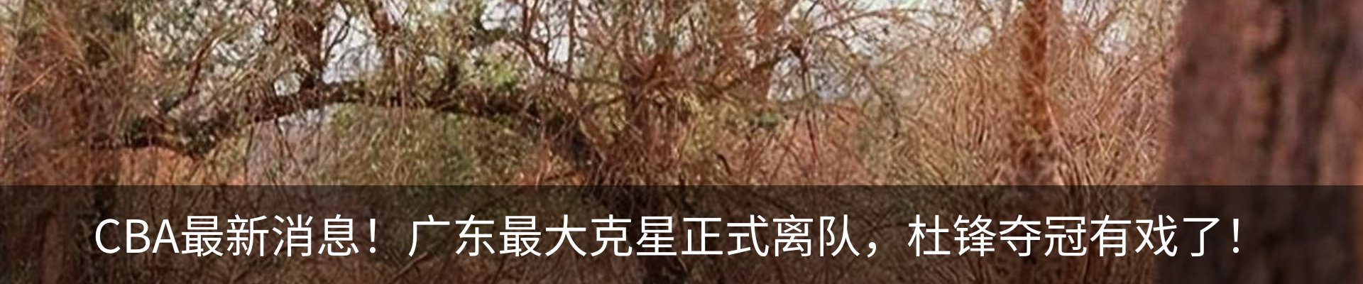 热点资讯